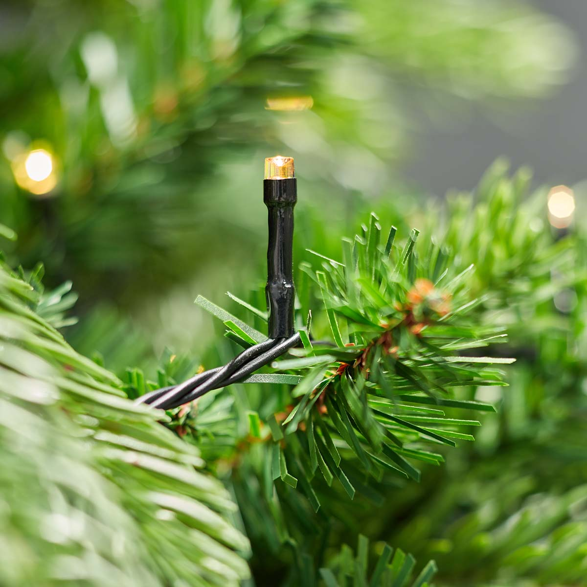 Close-up van kerstverlichting op een kerstboomtak. De lampjes zijn klein en geel.