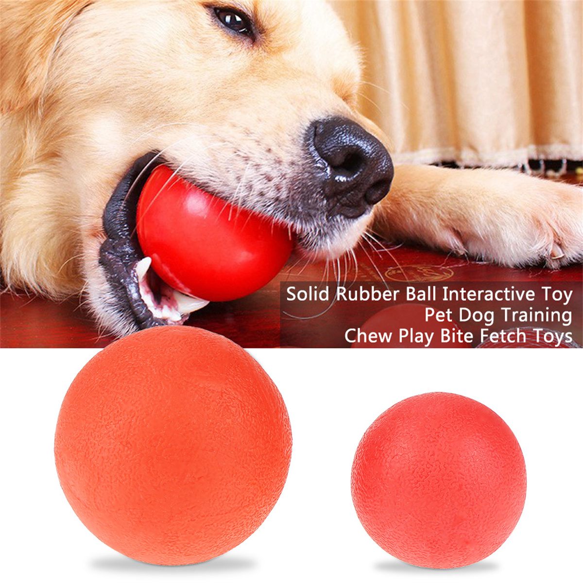 Hund hält roten Gummiball. Andere rote Bälle werden unten gezeigt.