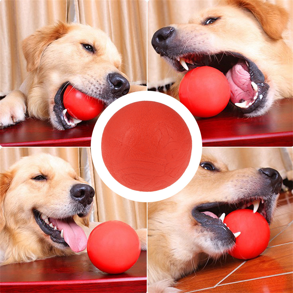 Vier Bilder von Hunden, die rote Bälle beißen, in einem Collage-Format.