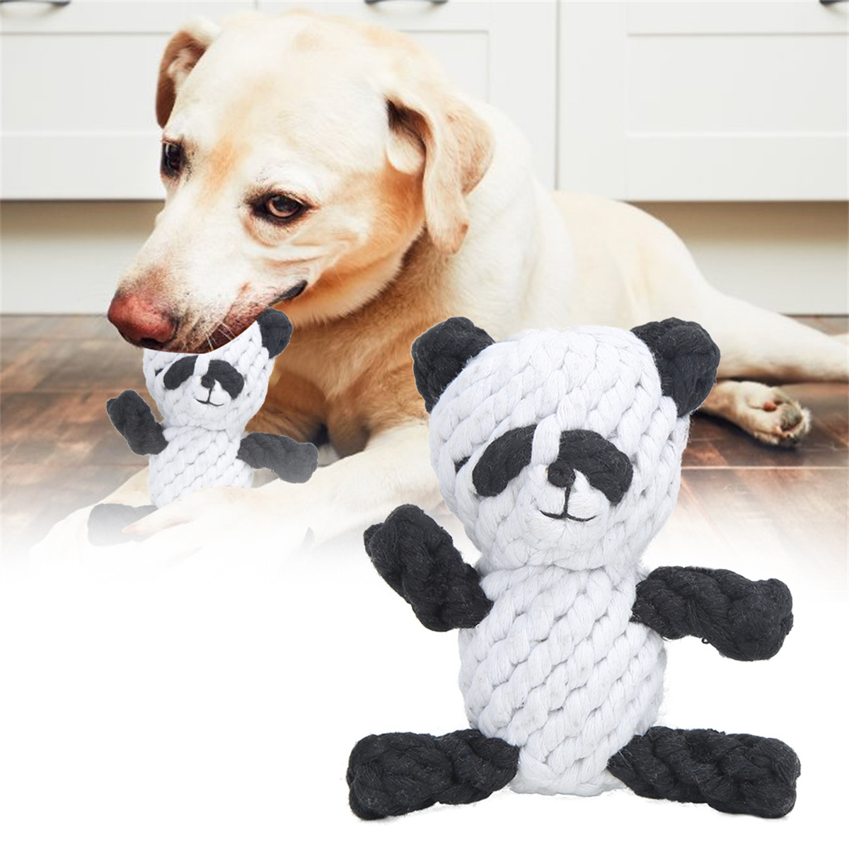 Ein weißer Hund, der zwei Panda-Plüschtiere betrachtet. Eines scharf, eines unscharf.