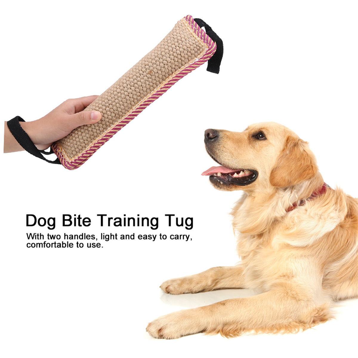 Ein Golden Retriever Hund mit einem Trainings-Zerrspielzeug vor sich.