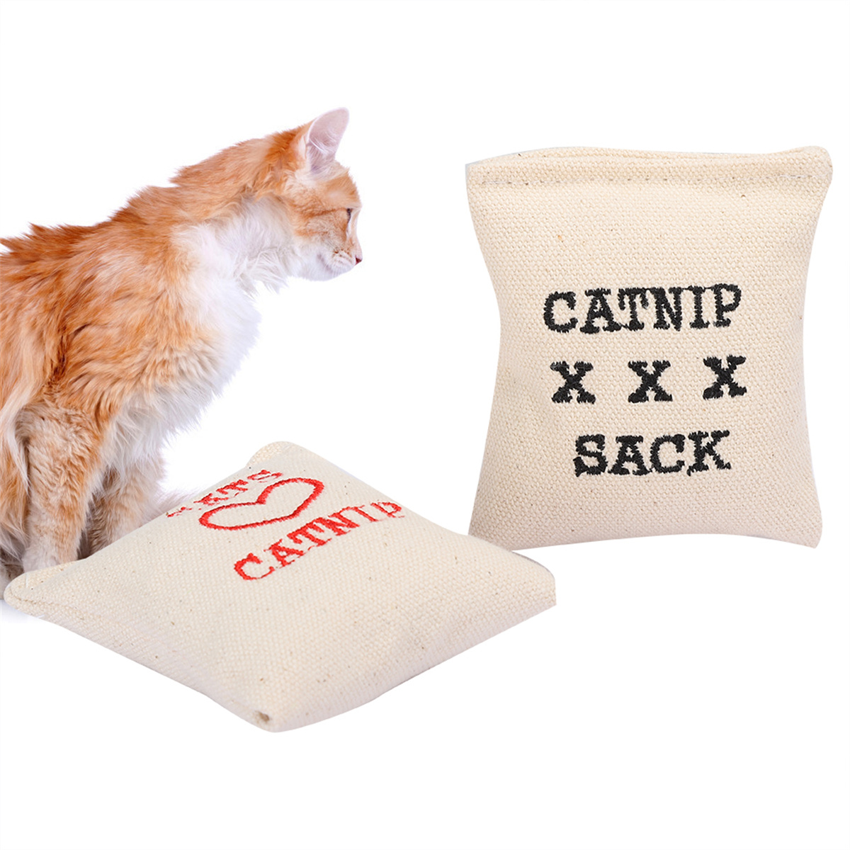 Eine rot getigerte Katze blickt auf Katzenminze-Säcke. Ein Sack trägt die Aufschrift „CATNIP“. Der Hintergrund ist weiß.