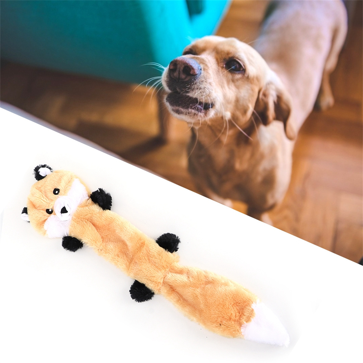 Ein hellbrauner Hund, der nach oben schaut. Ein Fuchspielzeug davor. Das Spielzeug ist orange mit schwarzen Akzenten.