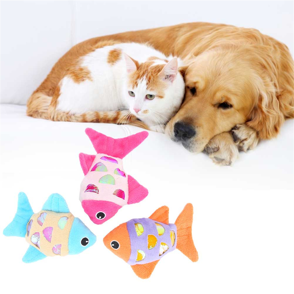Katze und Hund kuscheln, mit drei Spielzeugfischen davor.