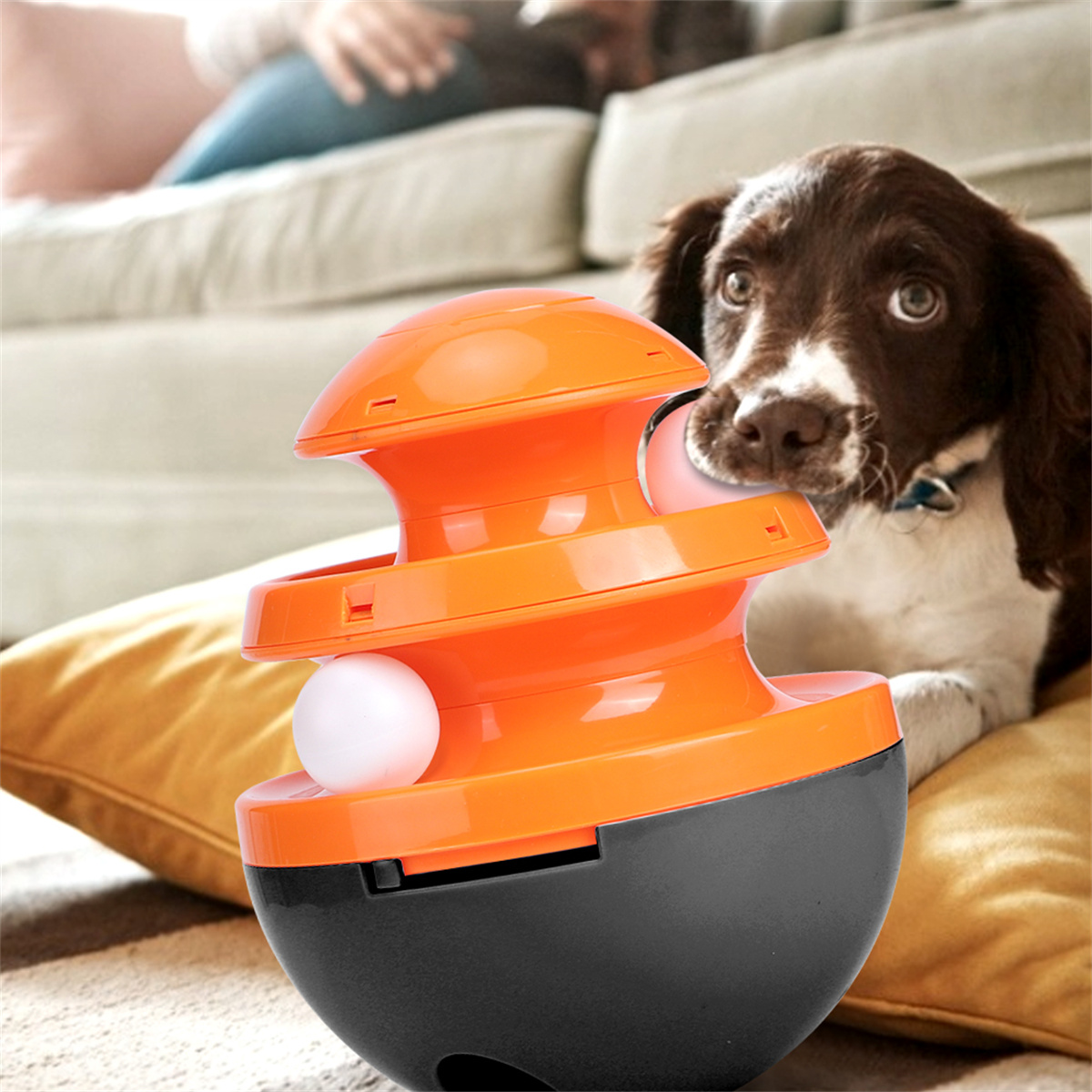 Ein Hund betrachtet ein orange-schwarzes Spielzeug mit einem weißen Ball. Der Hund ist braun-weiß.