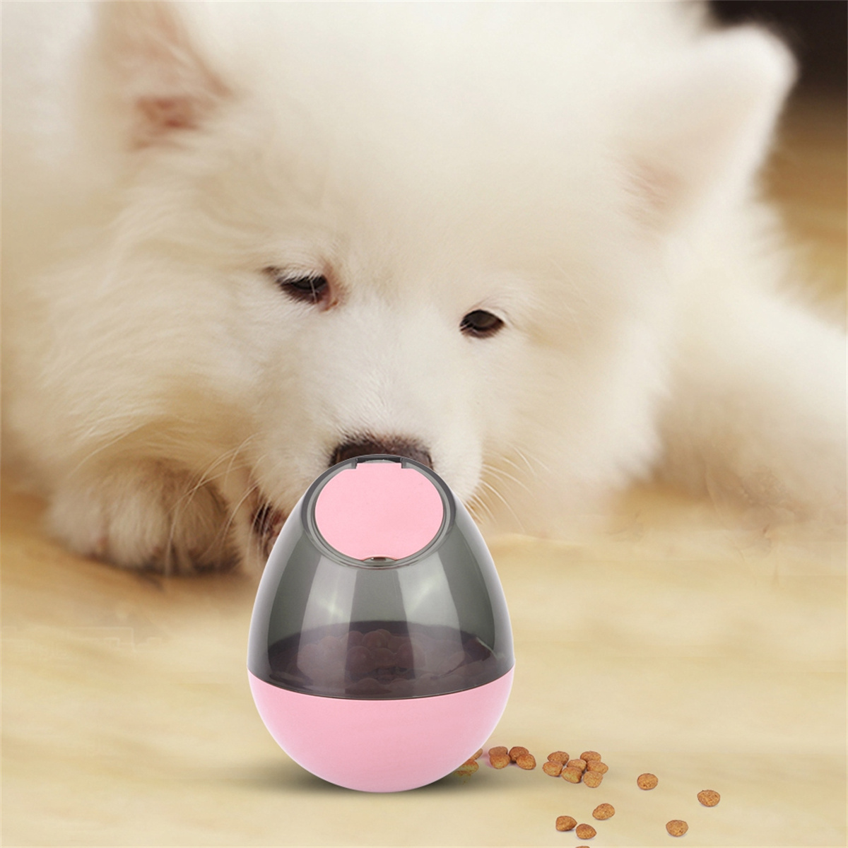 Ein weißer Hund schaut auf ein rosa-graues eiförmiges Spielzeug mit Futter.