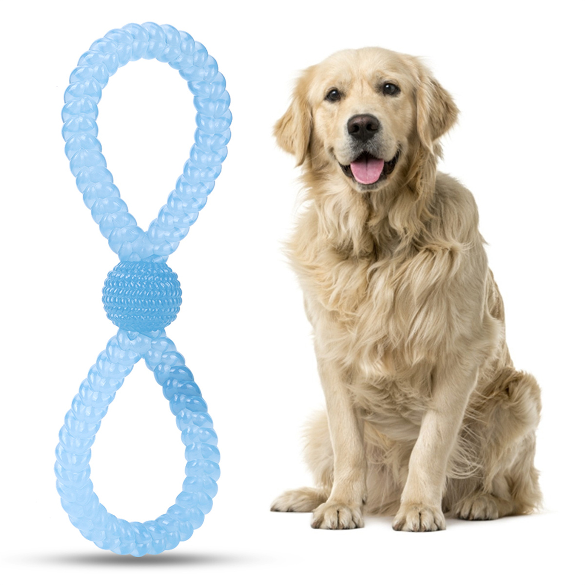 Ein Golden Retriever sitzt neben einem blauen Hundespielzeug. Das Spielzeug hat eine Acht-Form mit einem Ball.