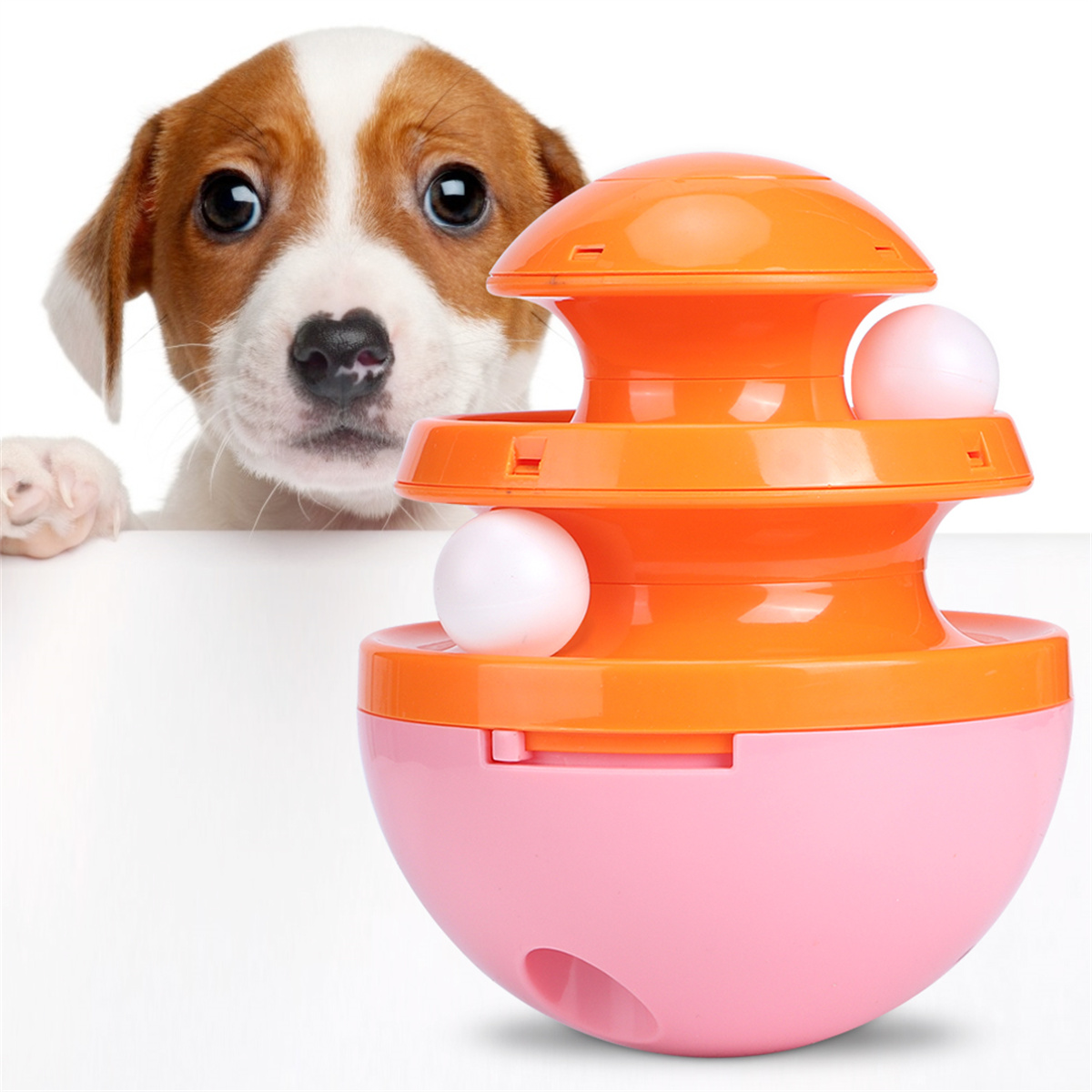 Hund schaut über ein Schild. Ein Spielzeug mit Bällen befindet sich vor dem Hund. Das Spielzeug ist orange und rosa.