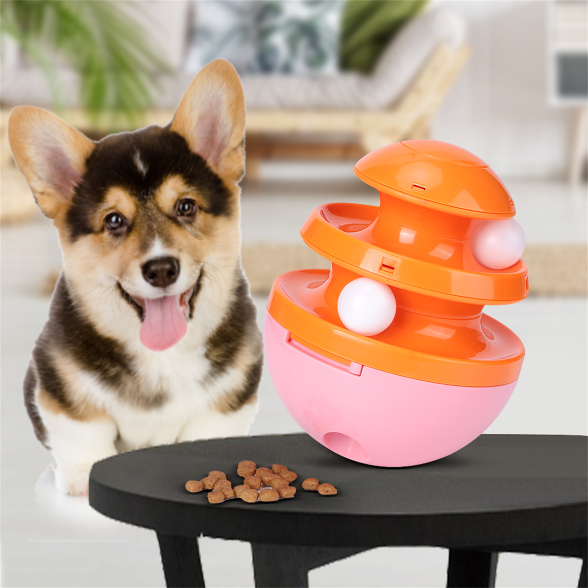 Corgi-Hund, der ein Hundespielzeug betrachtet. Spielzeug ist orange und rosa mit Kugeln.