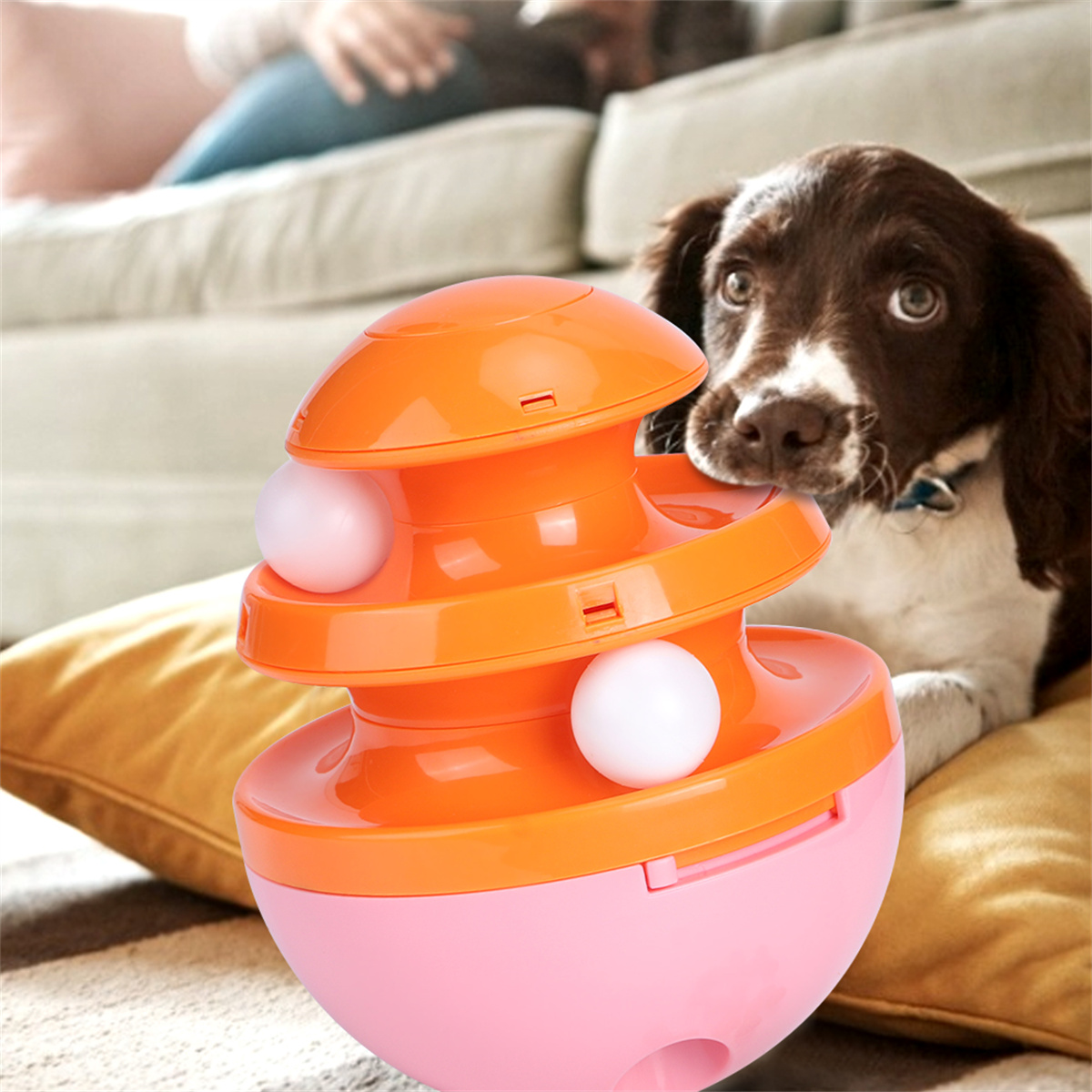 Ein orangefarbenes und rosa Hundespielzeug mit weißen Kugeln. Ein brauner Hund sitzt in der Nähe. Eine Person ist im Hintergrund.