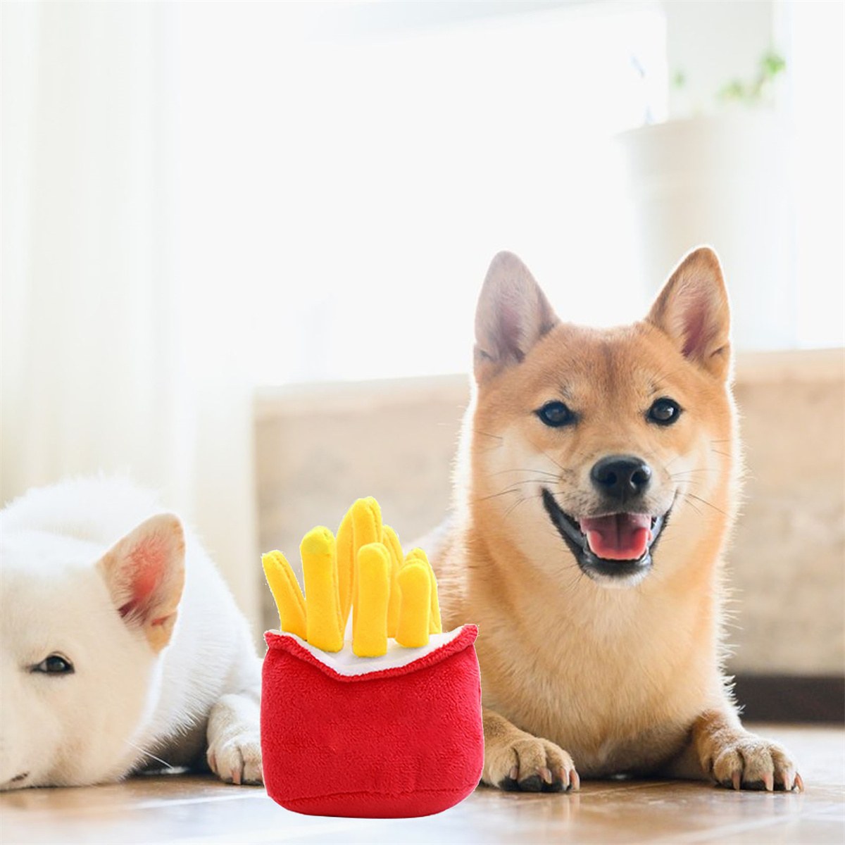Zwei Hunde mit Spielzeug: ein Shiba Inu, der den Betrachter ansieht, und ein weißer Hund daneben.