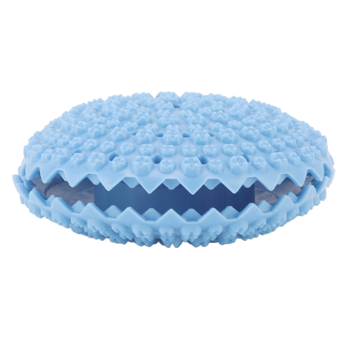Blaues Hundespielzeug in Form einer Muschel. Text: Blaues muschelförmiges Hundespielzeug mit strukturierten Oberflächen.