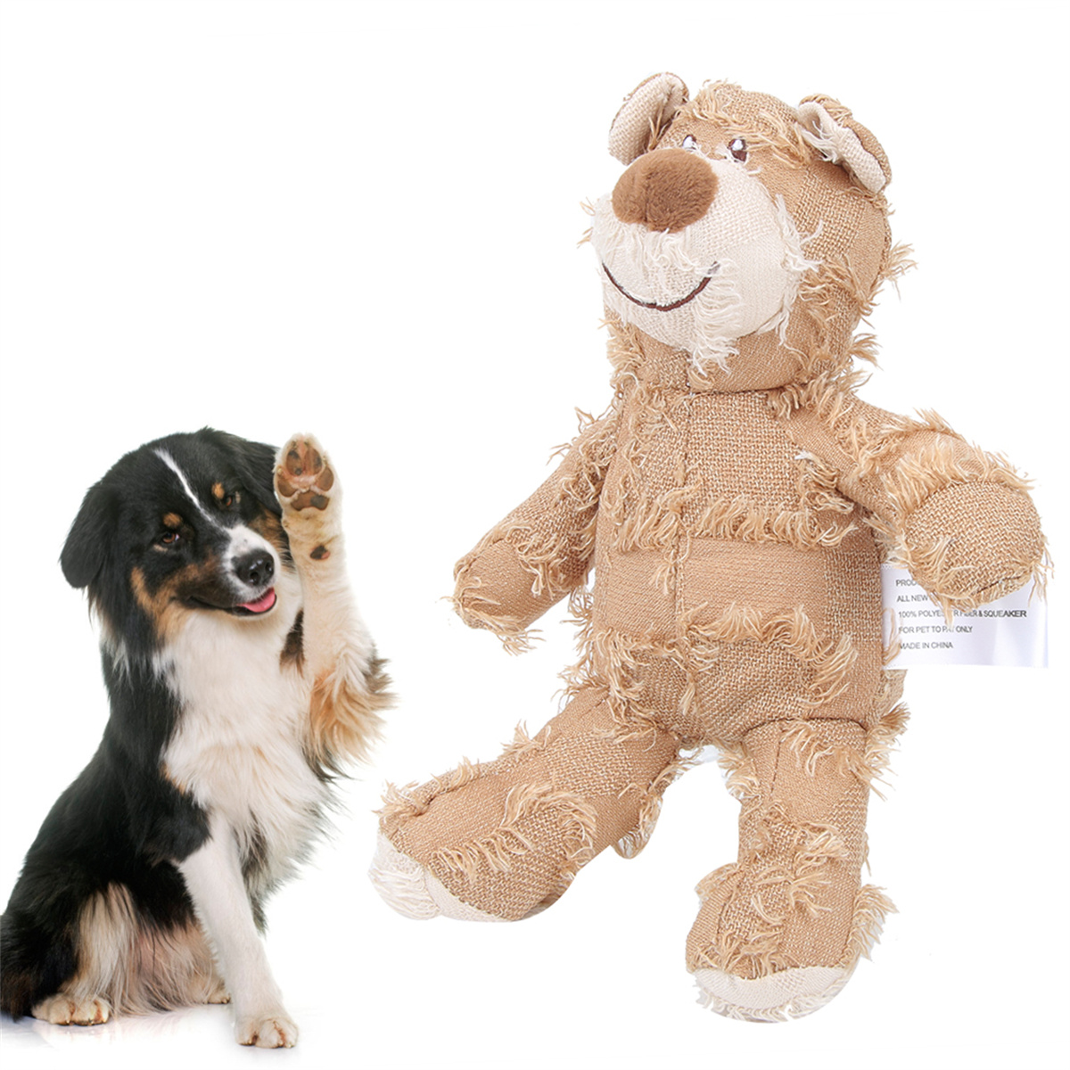 Ein Hund hebt eine Pfote neben einem Teddybärenspielzeug. Der Hund ist schwarz und weiß, der Bär ist braun.