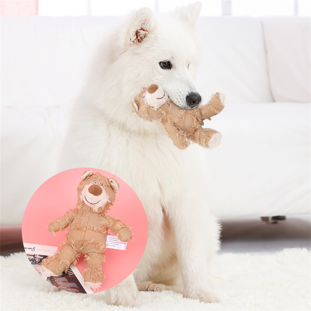 Weißer Hund hält ein braunes Teddybär-Spielzeug. Das Teddybär-Spielzeug ist im Maul des Hundes.