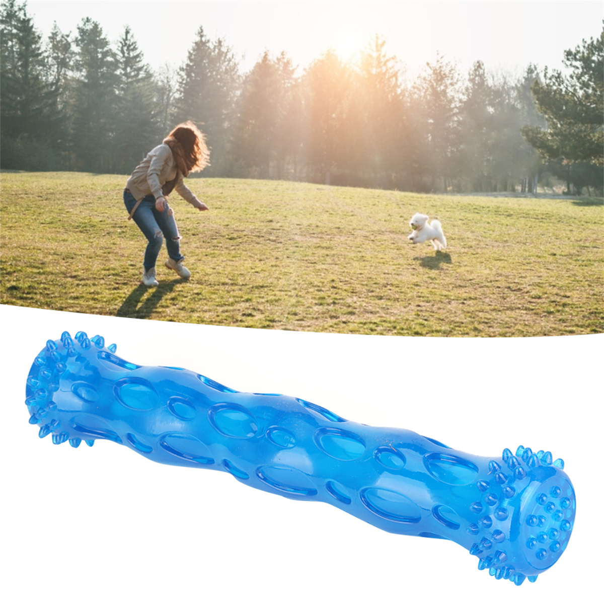 Eine Frau wirft ein blaues Hundespielzeug auf einer Wiese, ein Hund rennt hinterher, Bäume im Hintergrund.