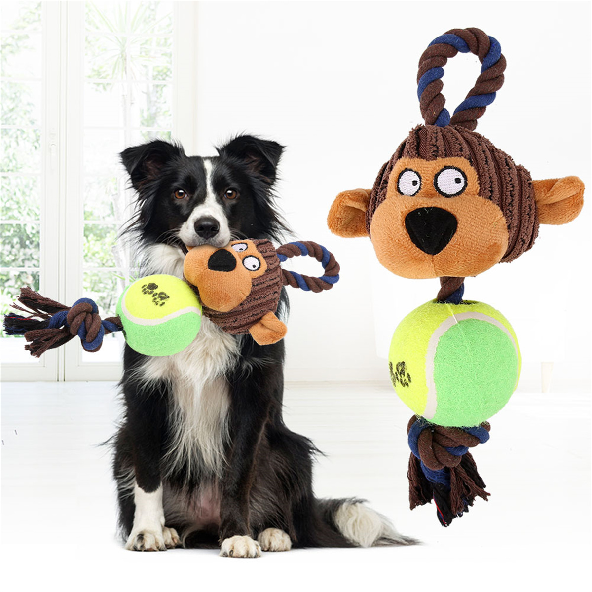 Hund mit Spielzeugaffe im Maul, hält Tennisball. Ein weiteres Affenspielzeug daneben.