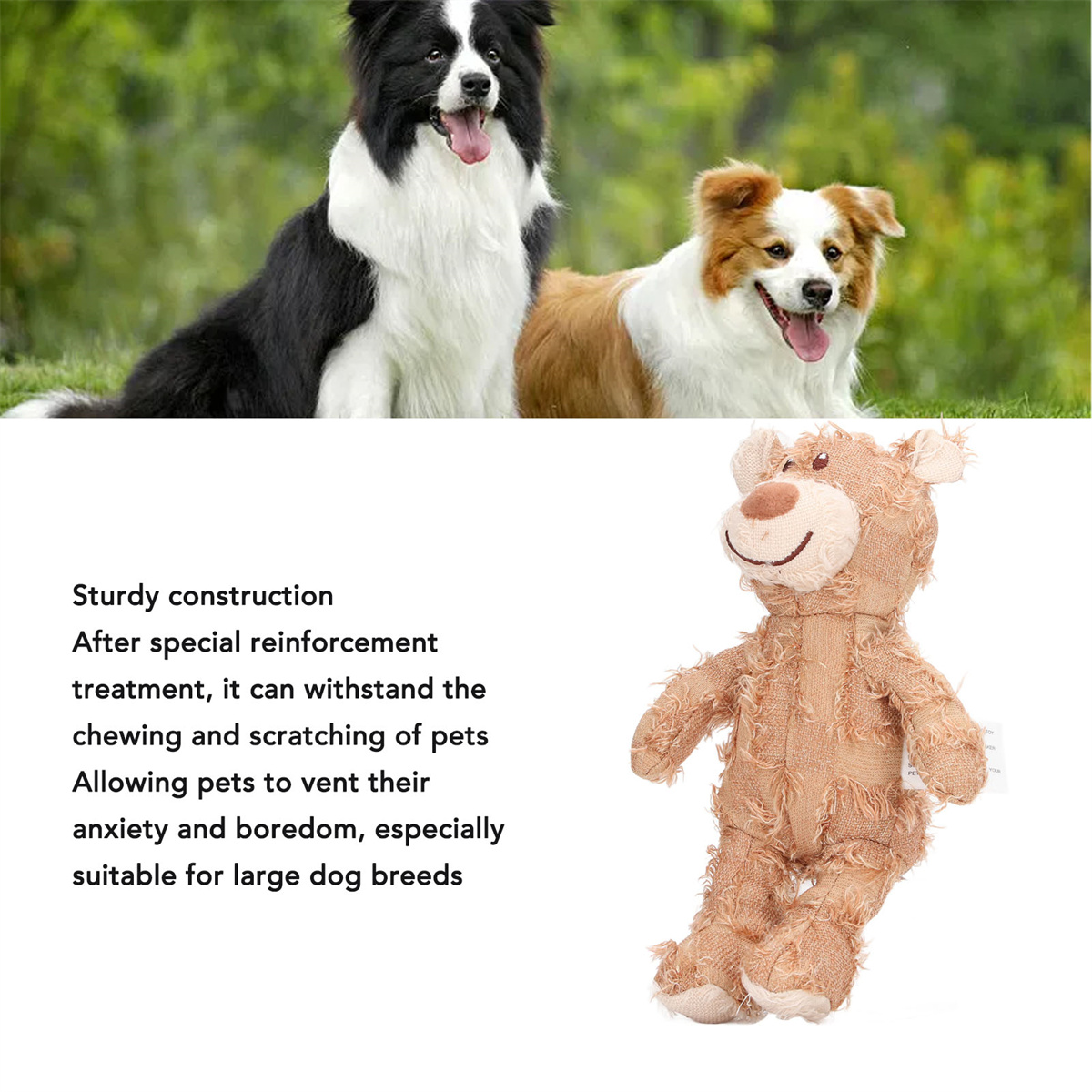 Zwei Hunde und ein Teddybär-Spielzeug. Ein Hund schwarz/weiß, einer braun/weiß. Der Bär ist hellbraun und abgenutzt.