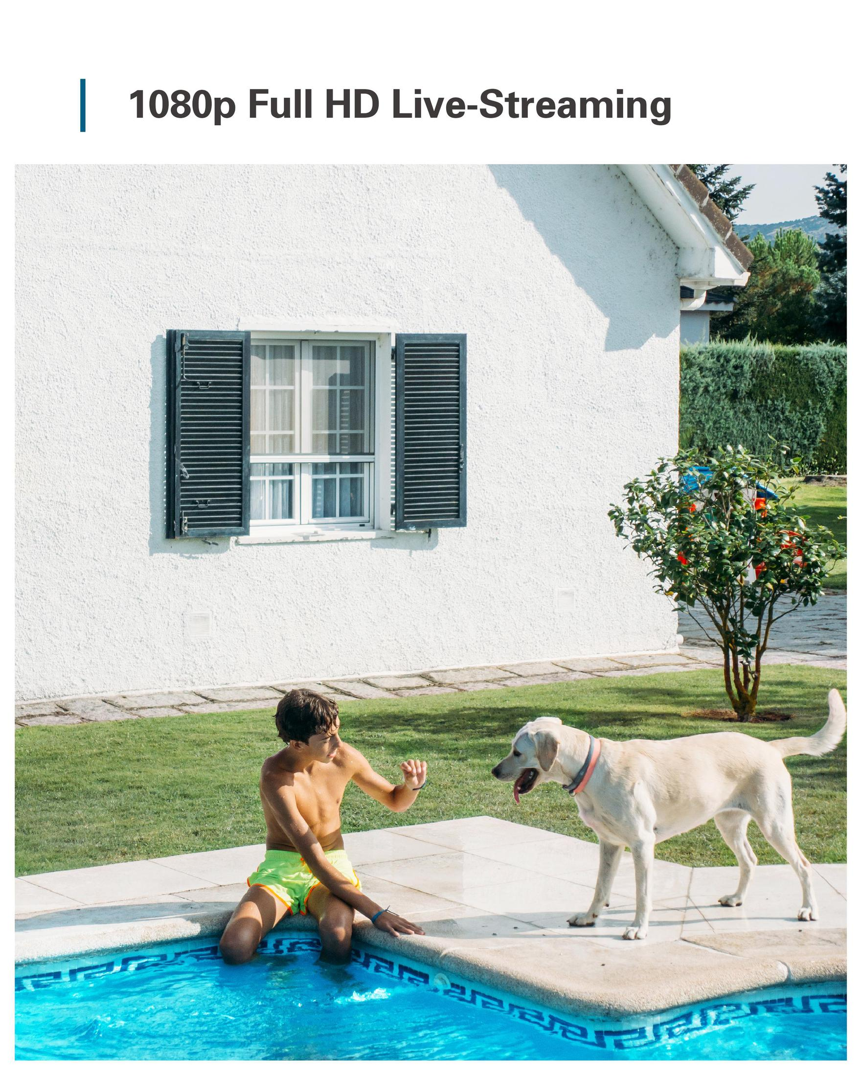 Ein Junge in gelben Shorts und ein Hund in der Nähe eines Pools. Weißes Haus mit Fensterläden und grüne Bäume im Hintergrund.