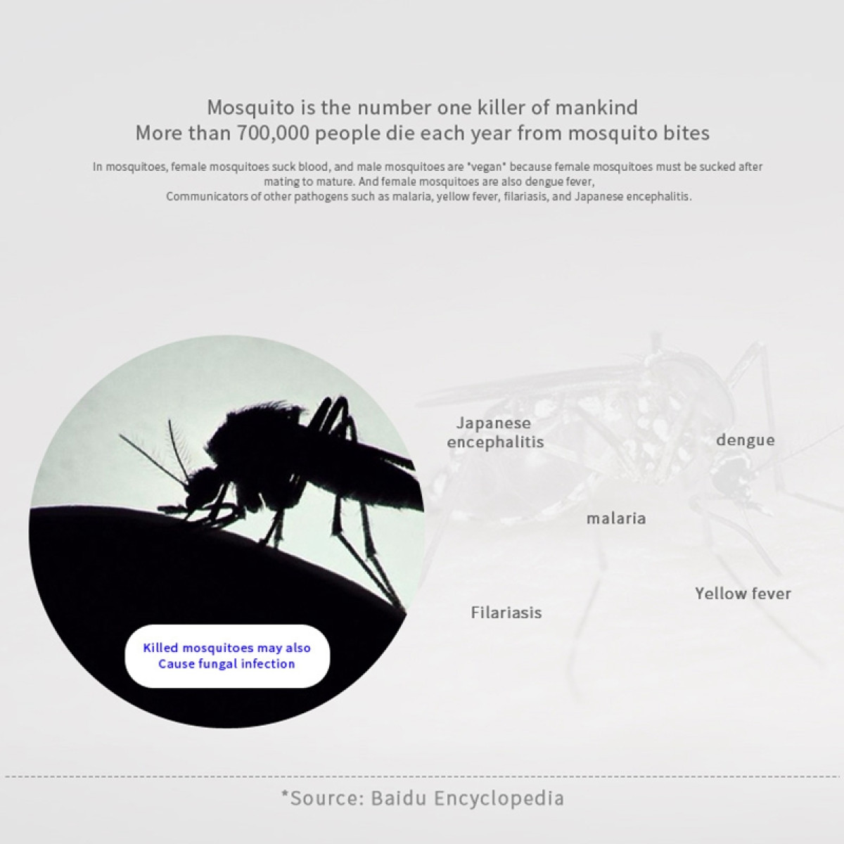 Ilustración muestra los efectos de los mosquitos, con texto sobre enfermedades como malaria, dengue y fiebre amarilla.