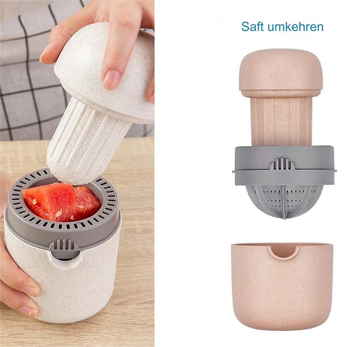 Entsafter mit getrennten Teilen. Ein weißer pilzförmiger Oberteil, ein grauer Filter und ein beiger Behälter.