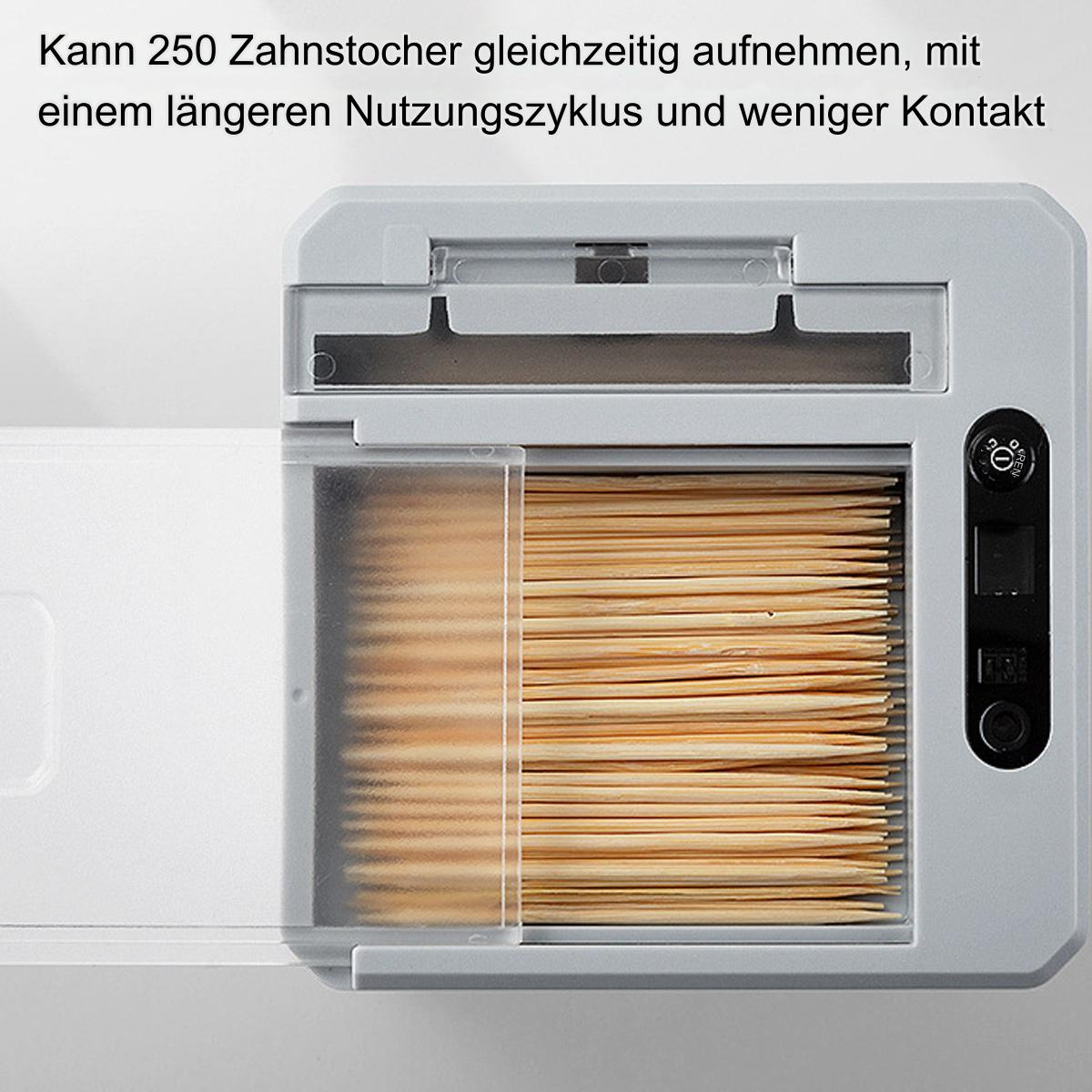 Eine graue Box mit Zahnstochern gefüllt. Text: Kann 250 Zahnstocher gleichzeitig aufnehmen.