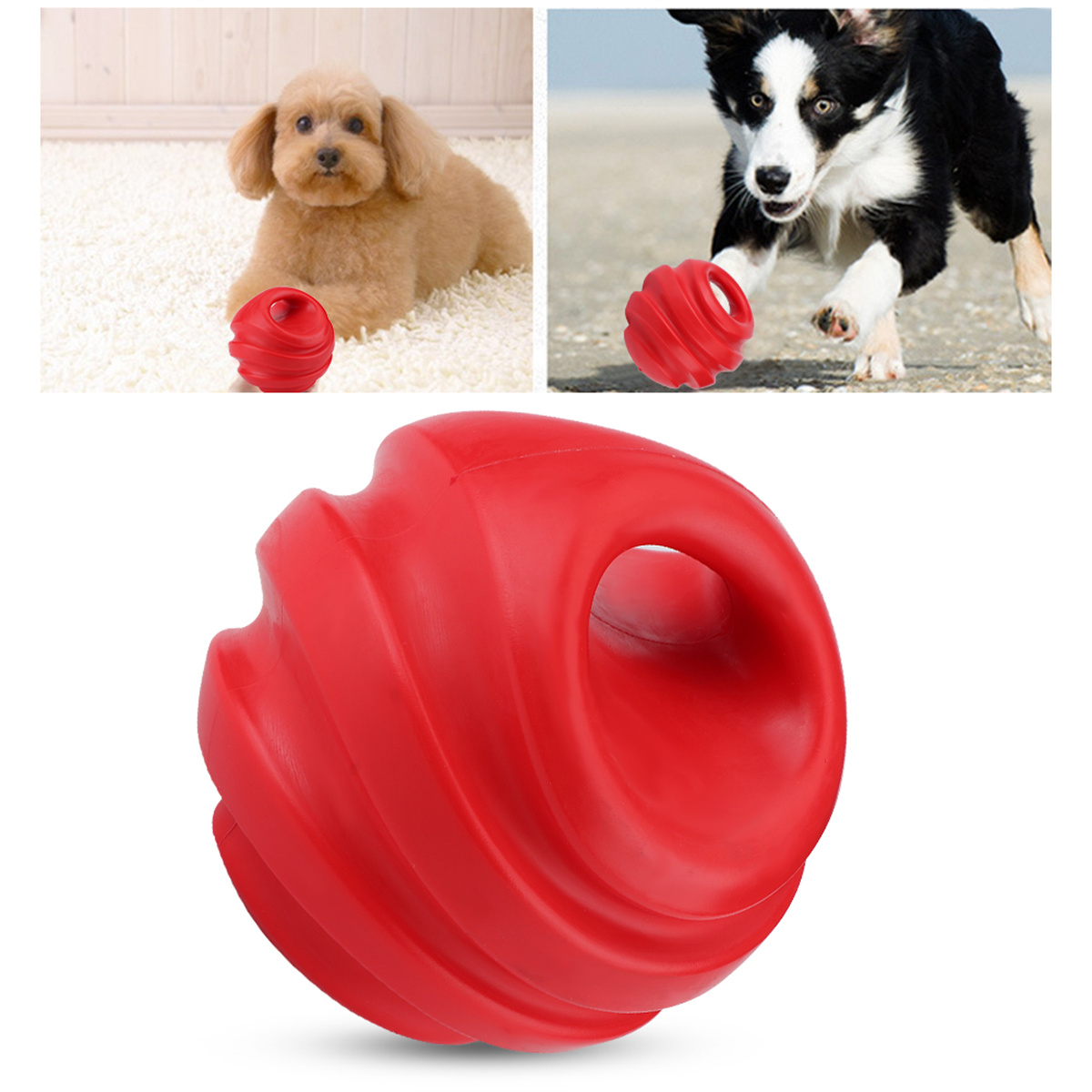 Drei Bilder: ein Hund mit rotem Spielzeug, ein Hund, der mit dem Spielzeug spielt, und das Spielzeug selbst.