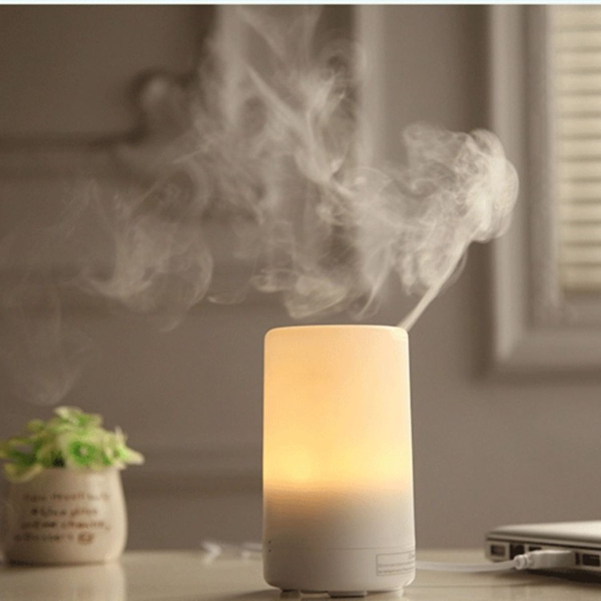 Weißer Diffusor mit Licht, der Dampf abgibt, mit einer kleinen Pflanze.