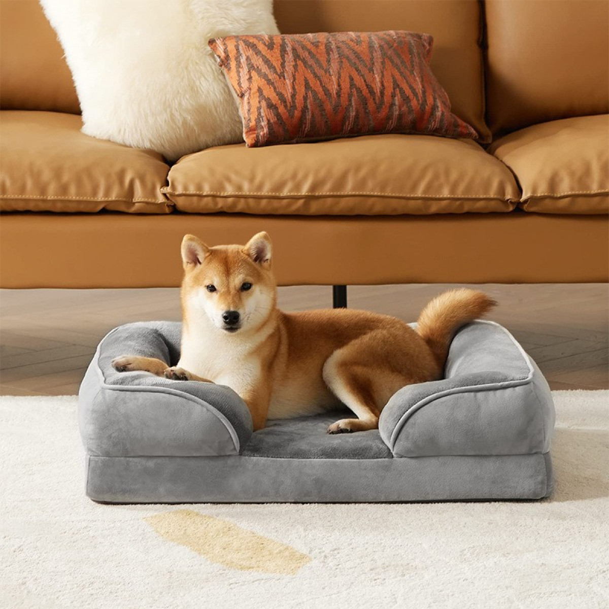 Ein Shiba Inu-Hund liegt auf einem grauen Hundebett. Im Hintergrund befindet sich ein braunes Ledersofa mit Kissen. Der Hund schaut in die Kamera.