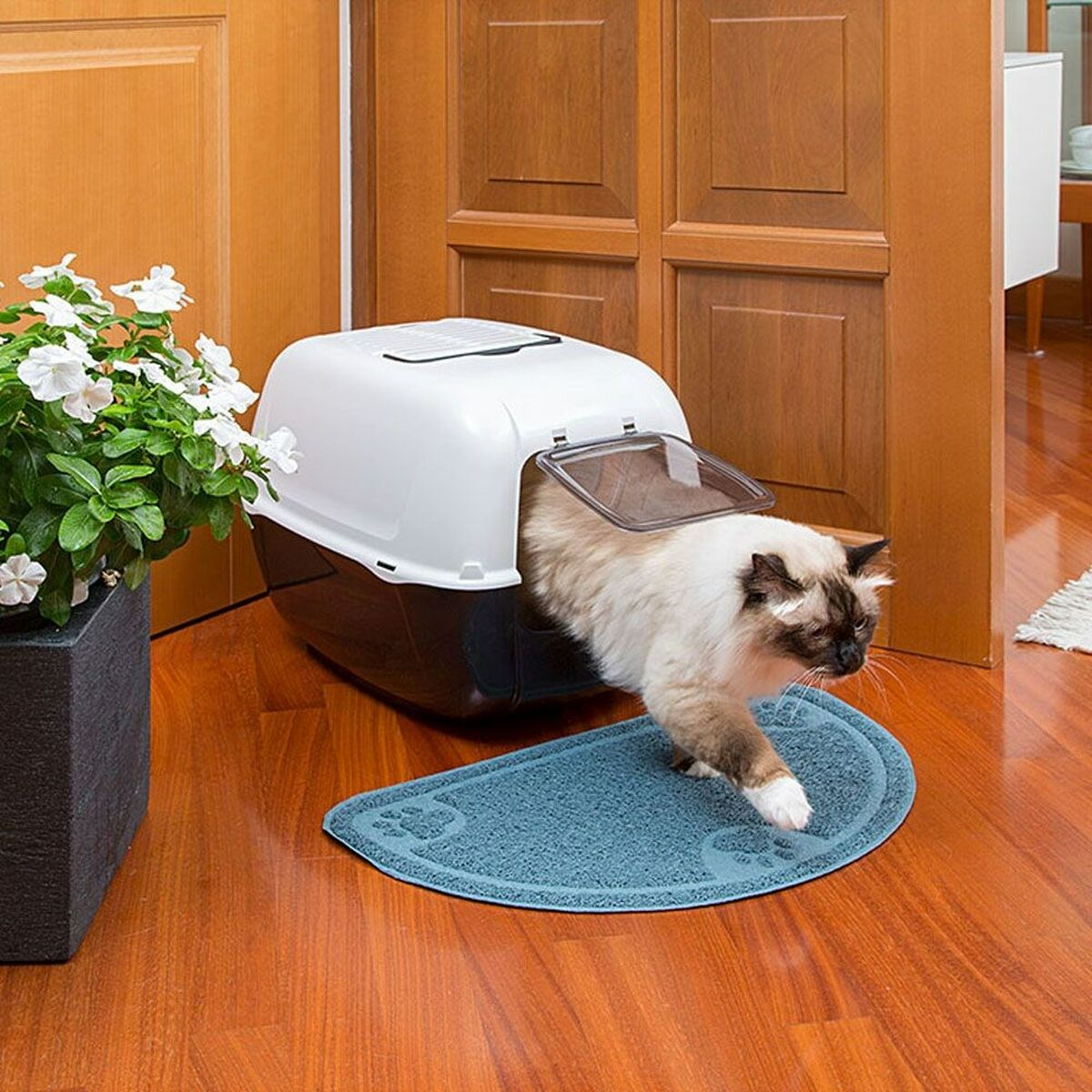 Un gatto esce da una lettiera coperta su un tappetino blu con impronte di zampe. Porta e pianta sullo sfondo.
