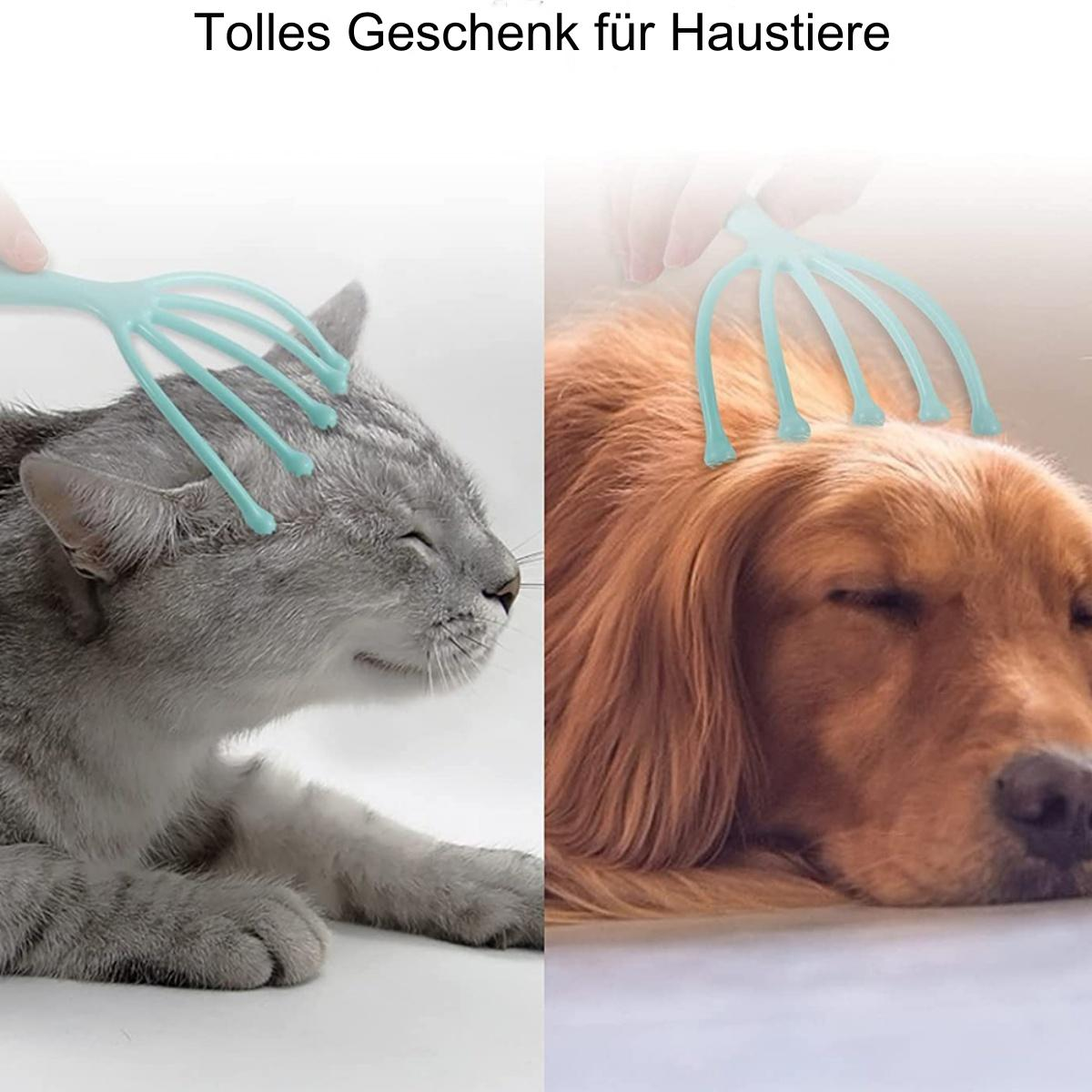 Zwei Haustiere werden massiert. Eine Katze und ein Hund. Die Katze ist grau. Der Hund ist braun.