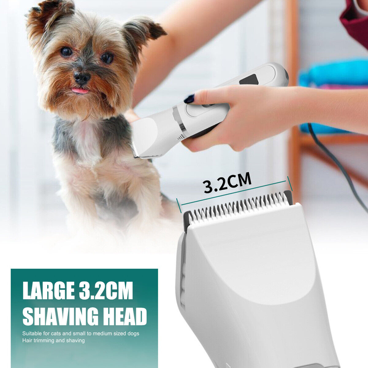Hundefriseur mit Schermaschine, Nahaufnahme des Scherkopfes und eines Hundes.