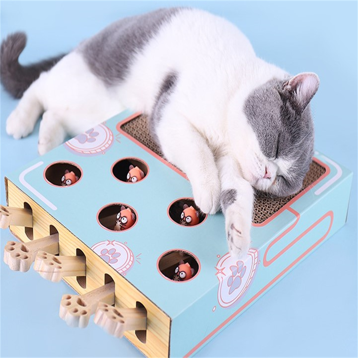 Katze schläft auf einem Spielbrett mit Löchern und Spielzeug. Blau und braun.