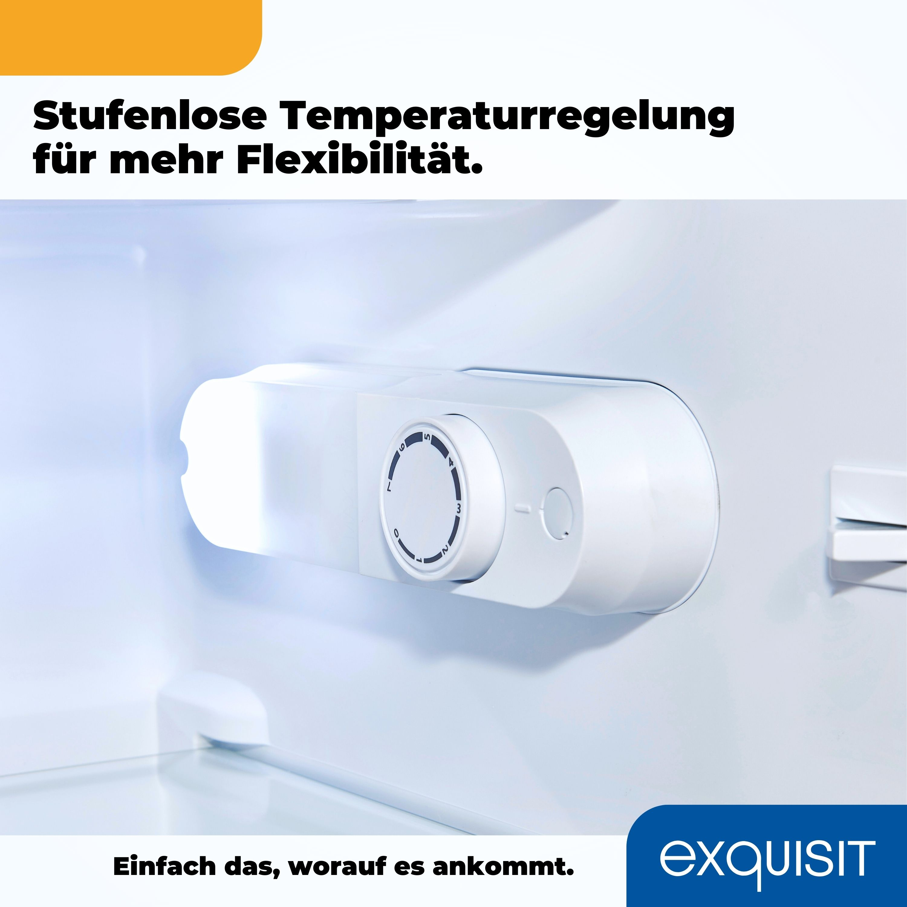 Kühlschrankinnenraum mit Temperaturregler. Text: Stufenlose Temperaturregelung.