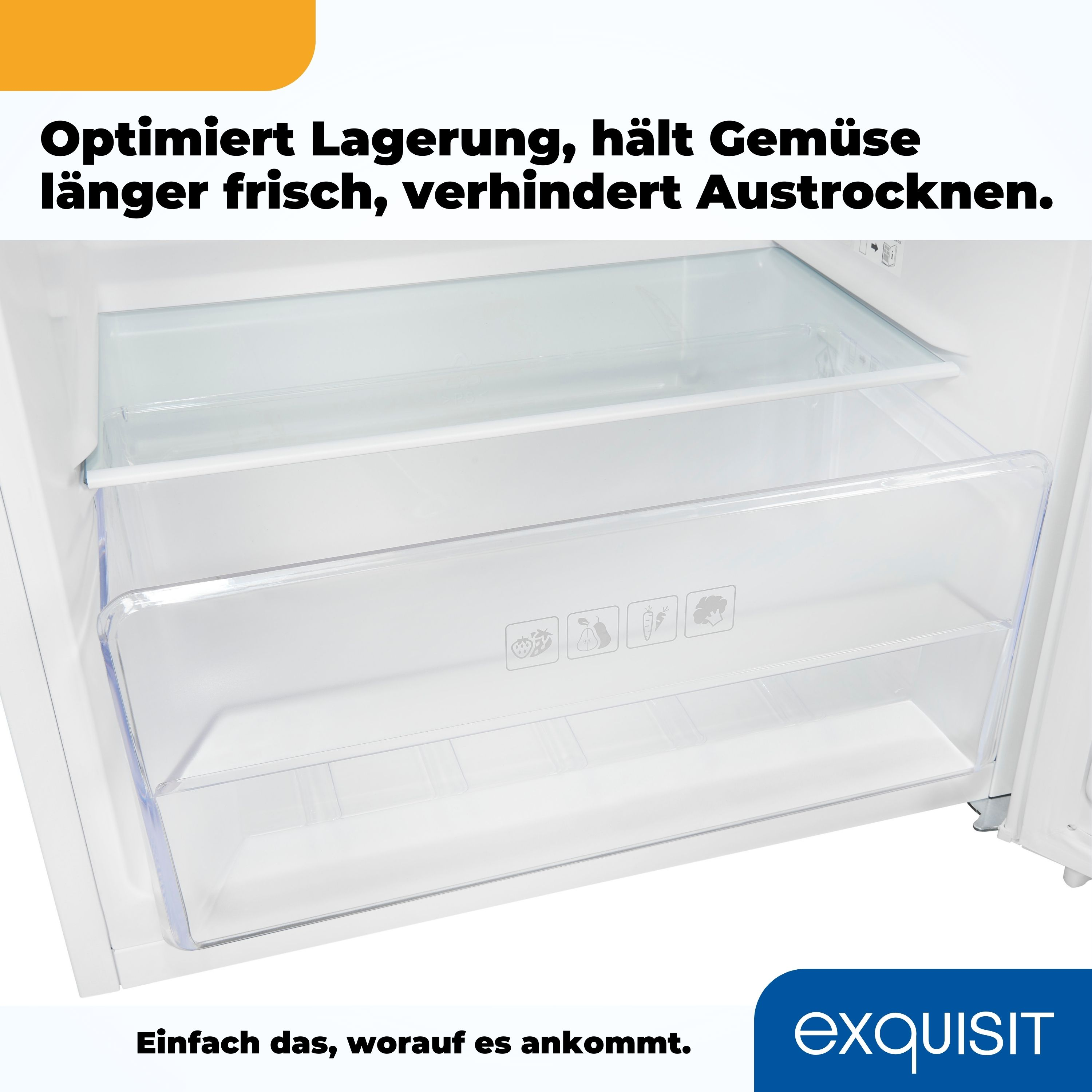 In einem weißen Kühlschrank, zwei transparente Gemüseschubladen. Text unten: Exquisit.