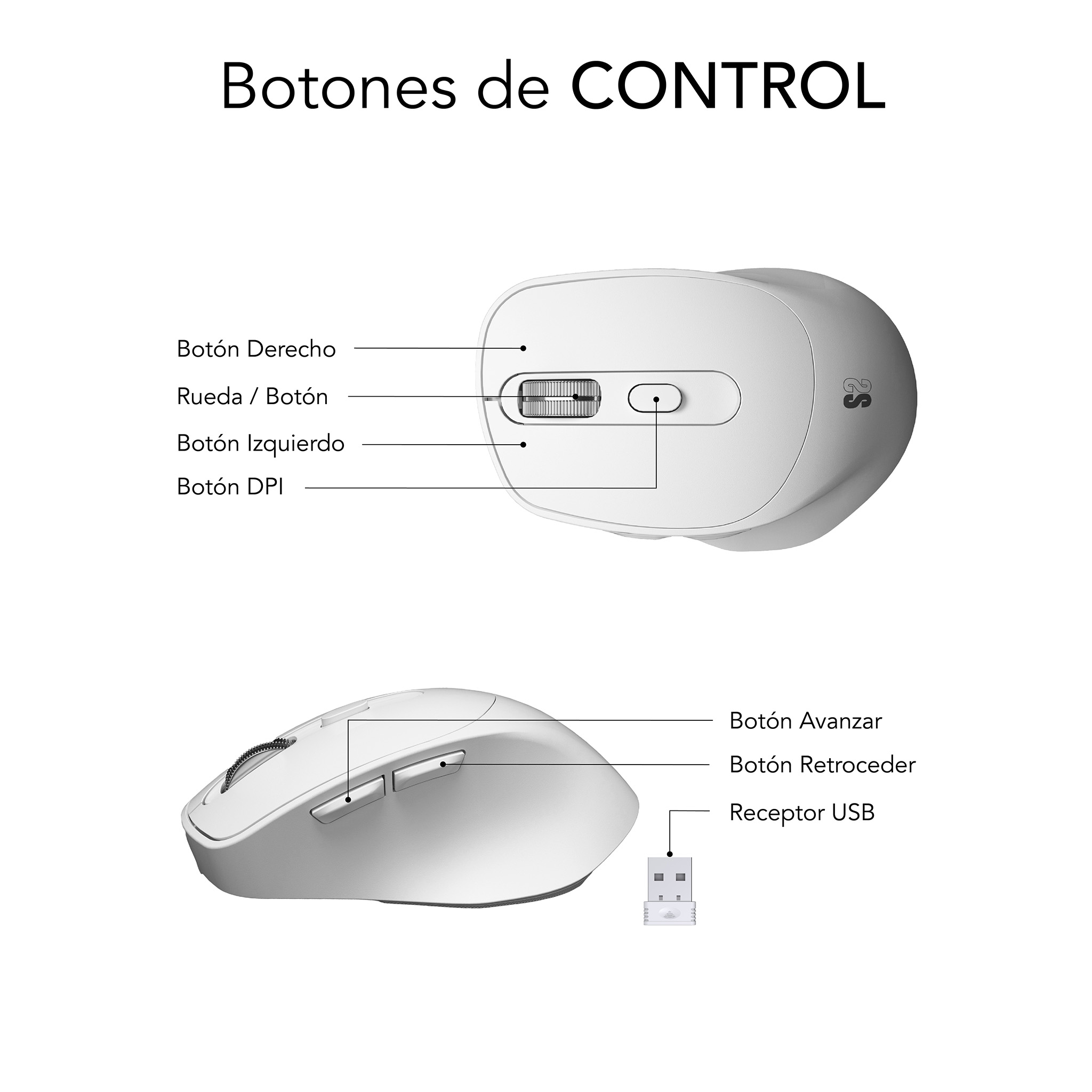 Mouse bianco con etichette che puntano ai pulsanti su una superficie bianca.