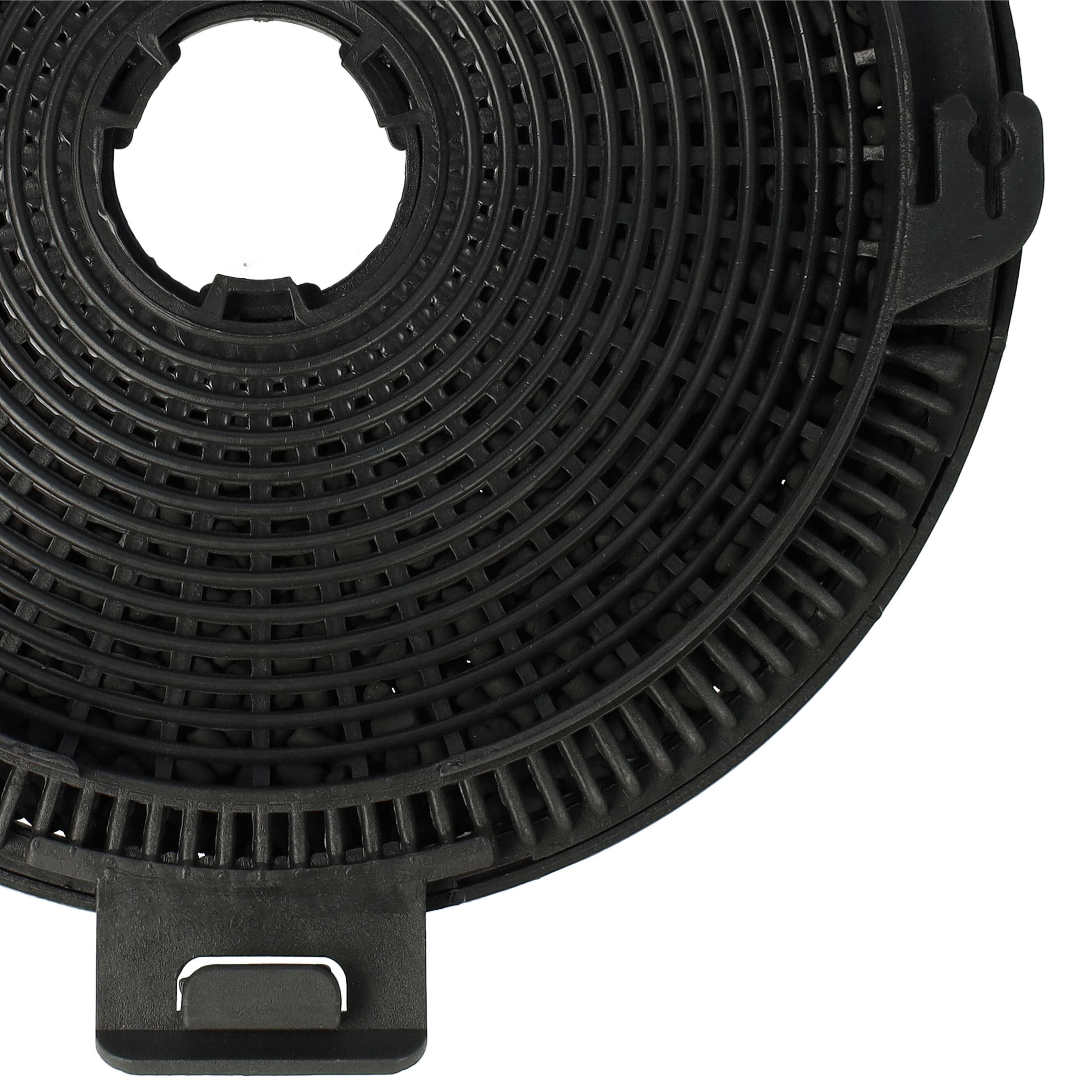 Nahaufnahme eines schwarzen, kreisförmigen Aktivkohlefilters mit gitterartigem Design und vielen kleinen Partikeln.