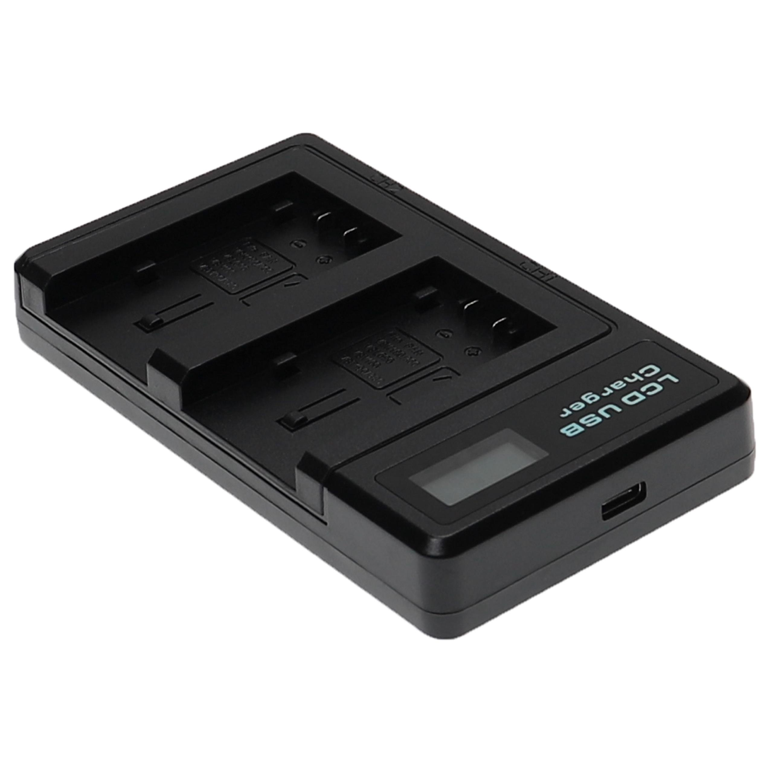 Schwarzes LCD USB-Ladegerät mit zwei Ladeschächten. Es hat einen Bildschirm und einen USB-Anschluss. Weißer Hintergrund.