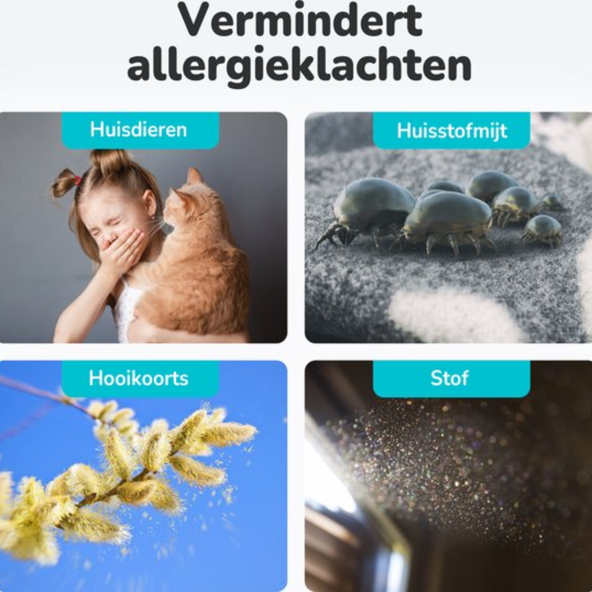 Image with text about reducing allergy symptoms. Shows allergens like dust mites.