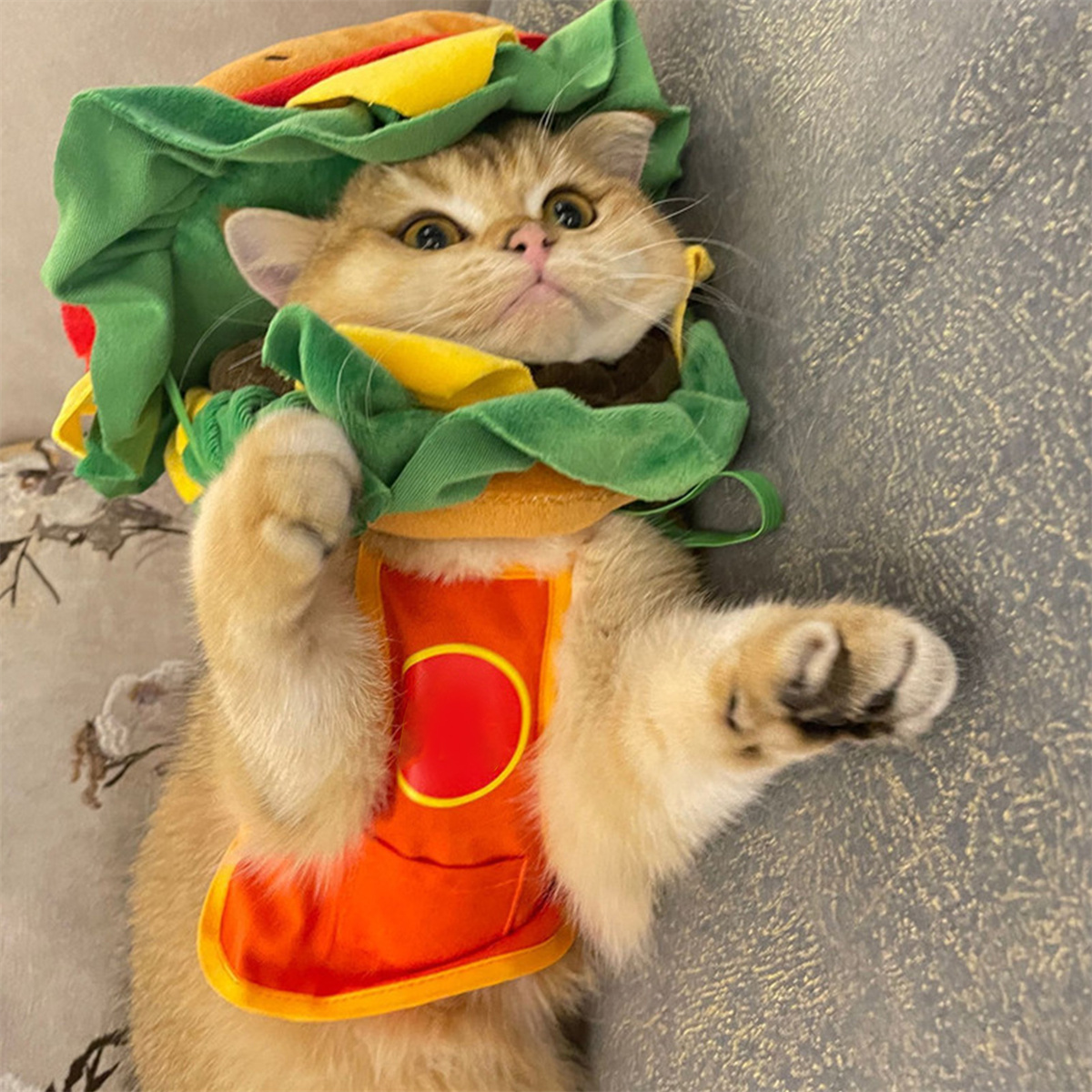 Eine Katze in einem Taco-Kostüm, die auf einer grauen Oberfläche liegt.