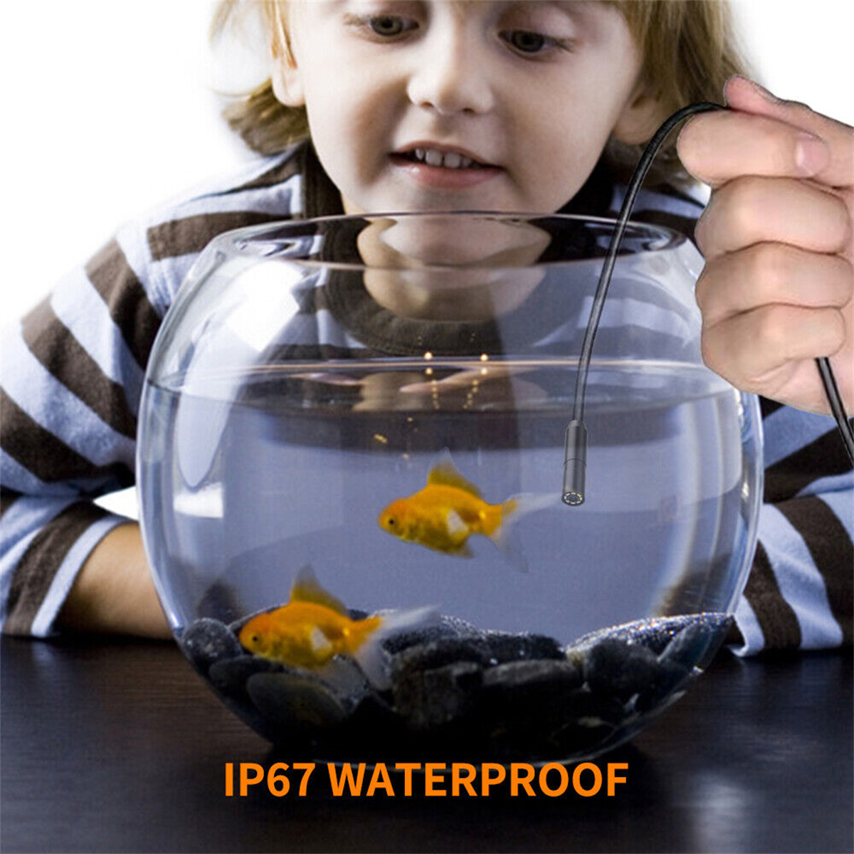 Kind beobachtet Fische in einem Fischglas mit Kamera. Wasserdichtes Etikett.
