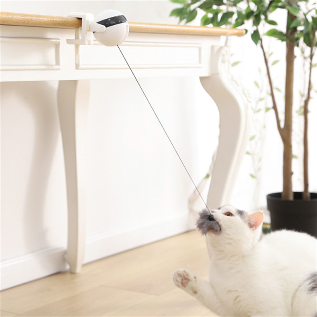 Katze spielt mit einem Spielzeug, das an einem Tisch befestigt ist.