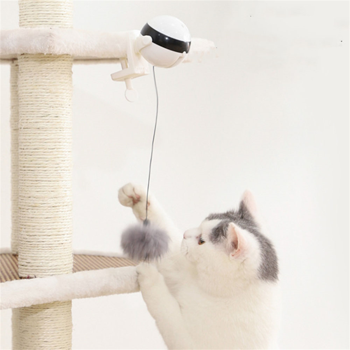 Eine Katze spielt mit einem Spielzeug, mit einem weißen und grauen Farbschema.