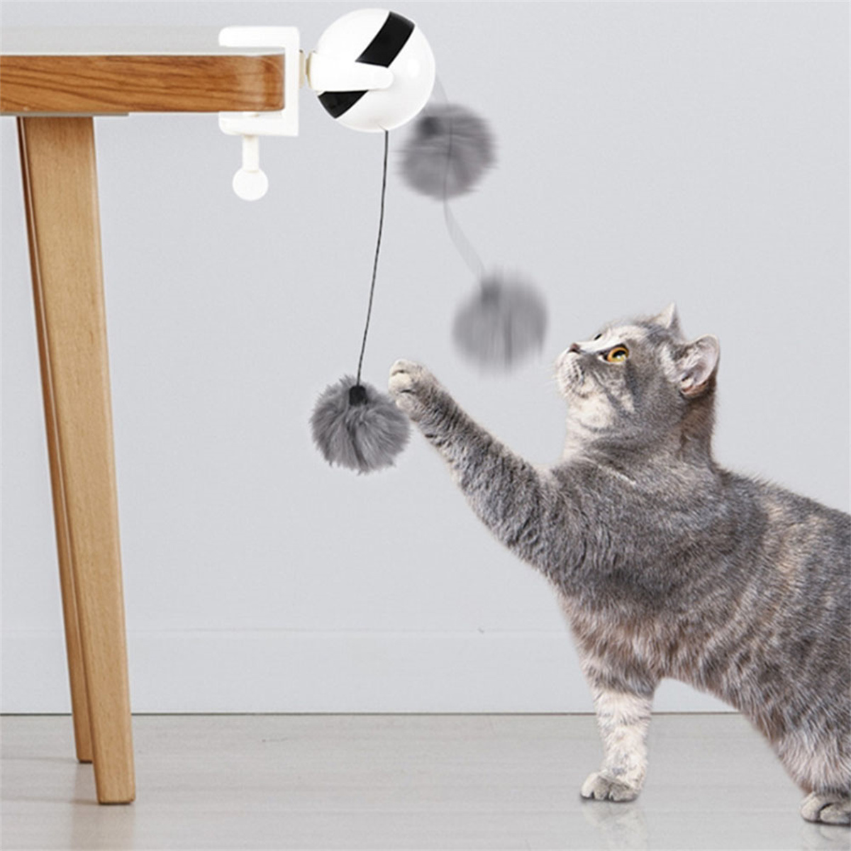Katze spielt mit einem Pompon-Spielzeug, das an einem Tisch befestigt ist.