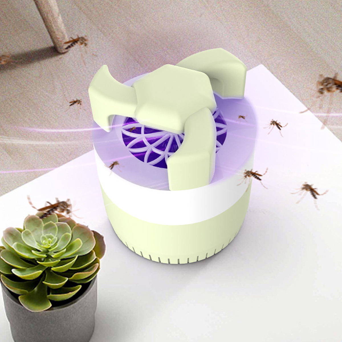Eine Mückenfalle mit Insekten, einer Sukkulente und einer weißen Oberfläche.