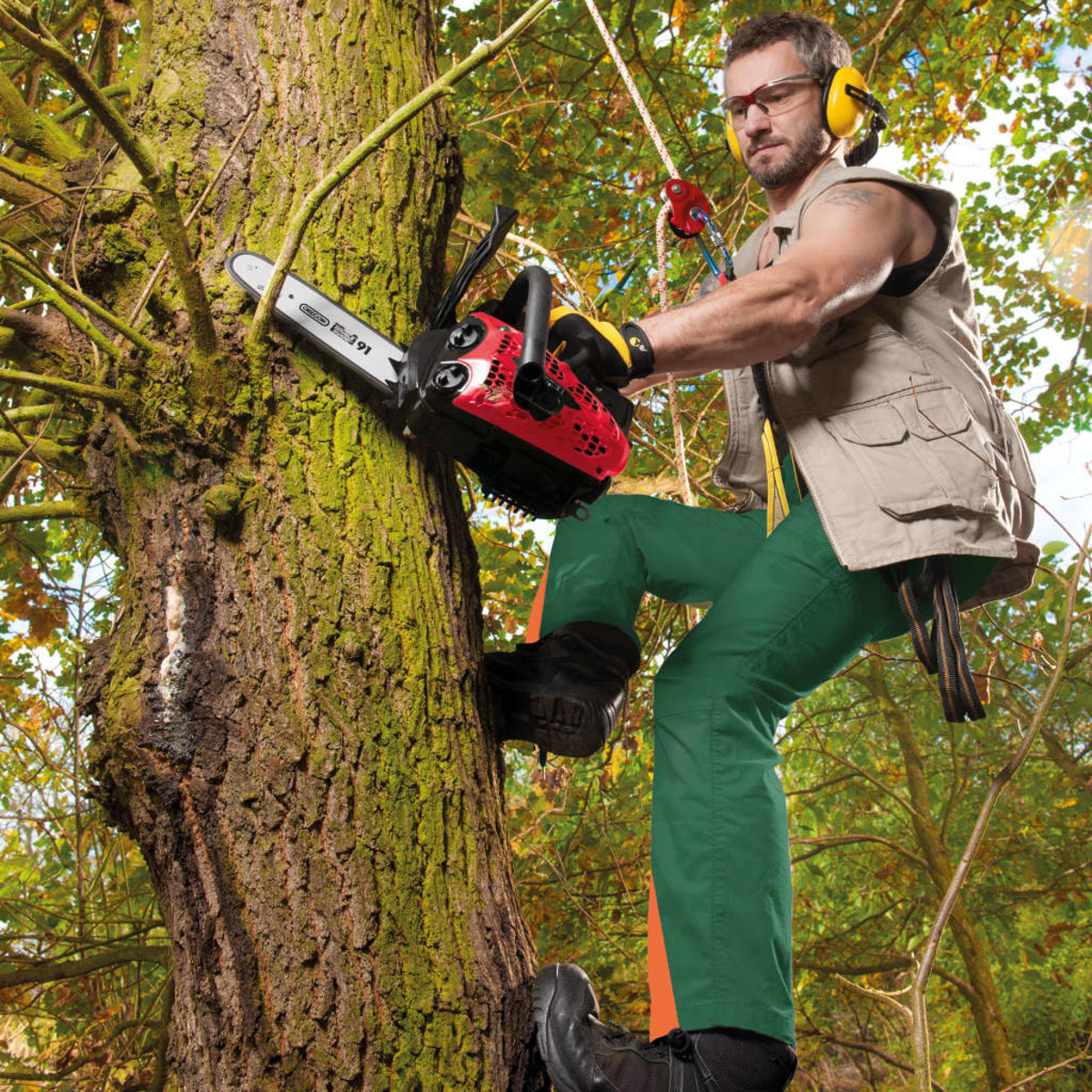 Mann mit Kettensäge im Baum, trägt Schutzkleidung. Sonne scheint. Grüne und braune Farben.