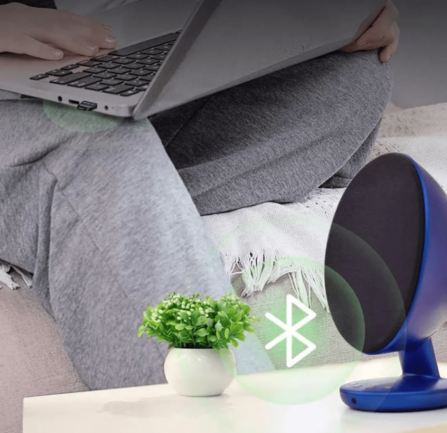 Osoba używająca laptopa, niebieski głośnik i mała roślina na stole.