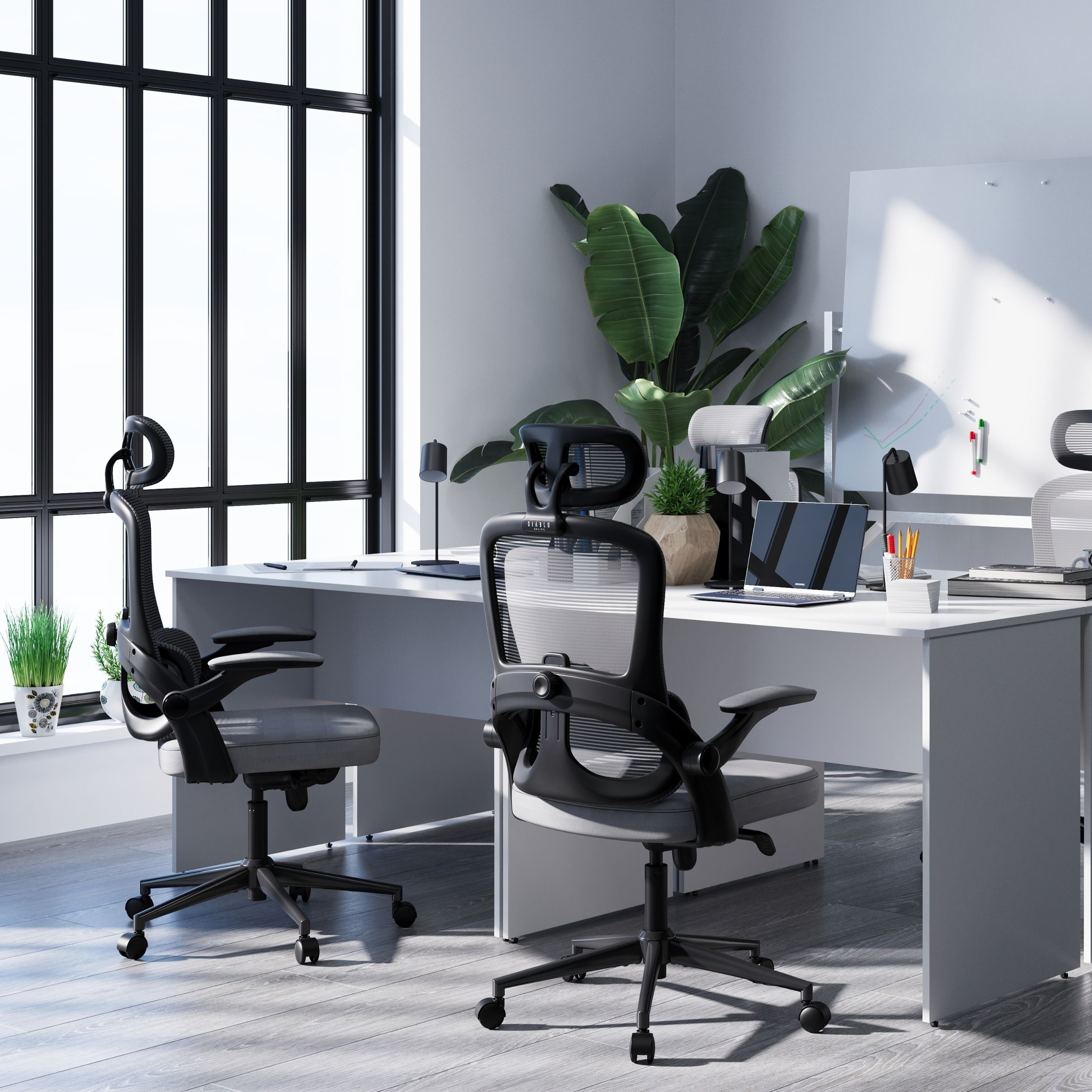 Büro mit zwei schwarzen Bürostühlen, Schreibtischen und Pflanzen. Sonnenlicht.