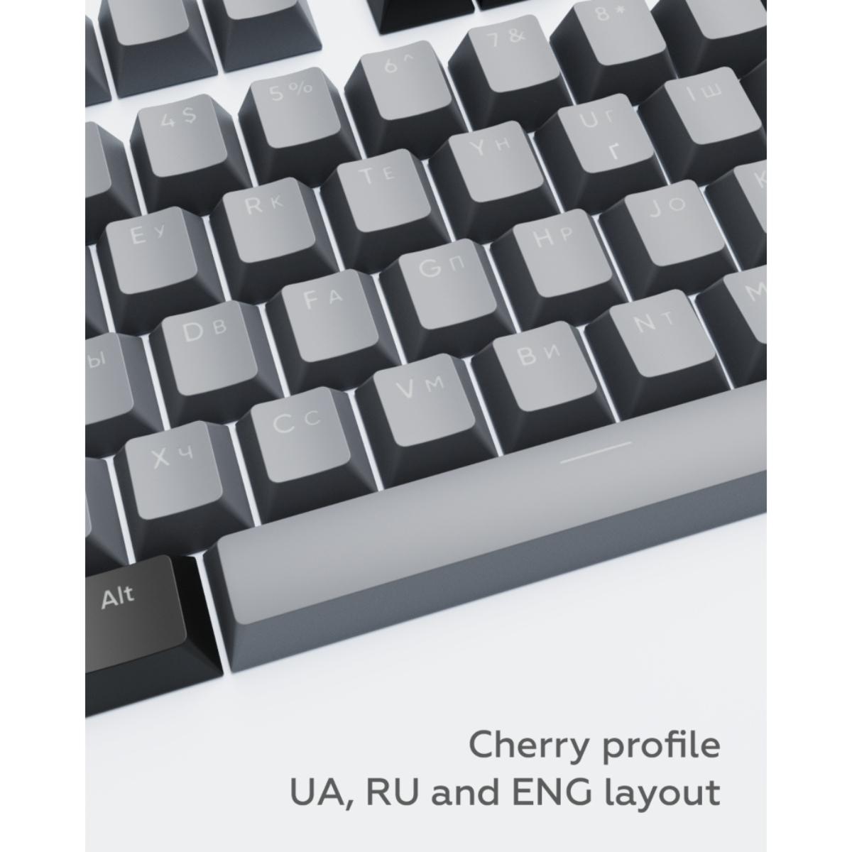 Nahaufnahme einer grauen Tastatur. Die Tasten sind dunkelgrau mit weißen Buchstaben. Die Alt-Taste ist schwarz.