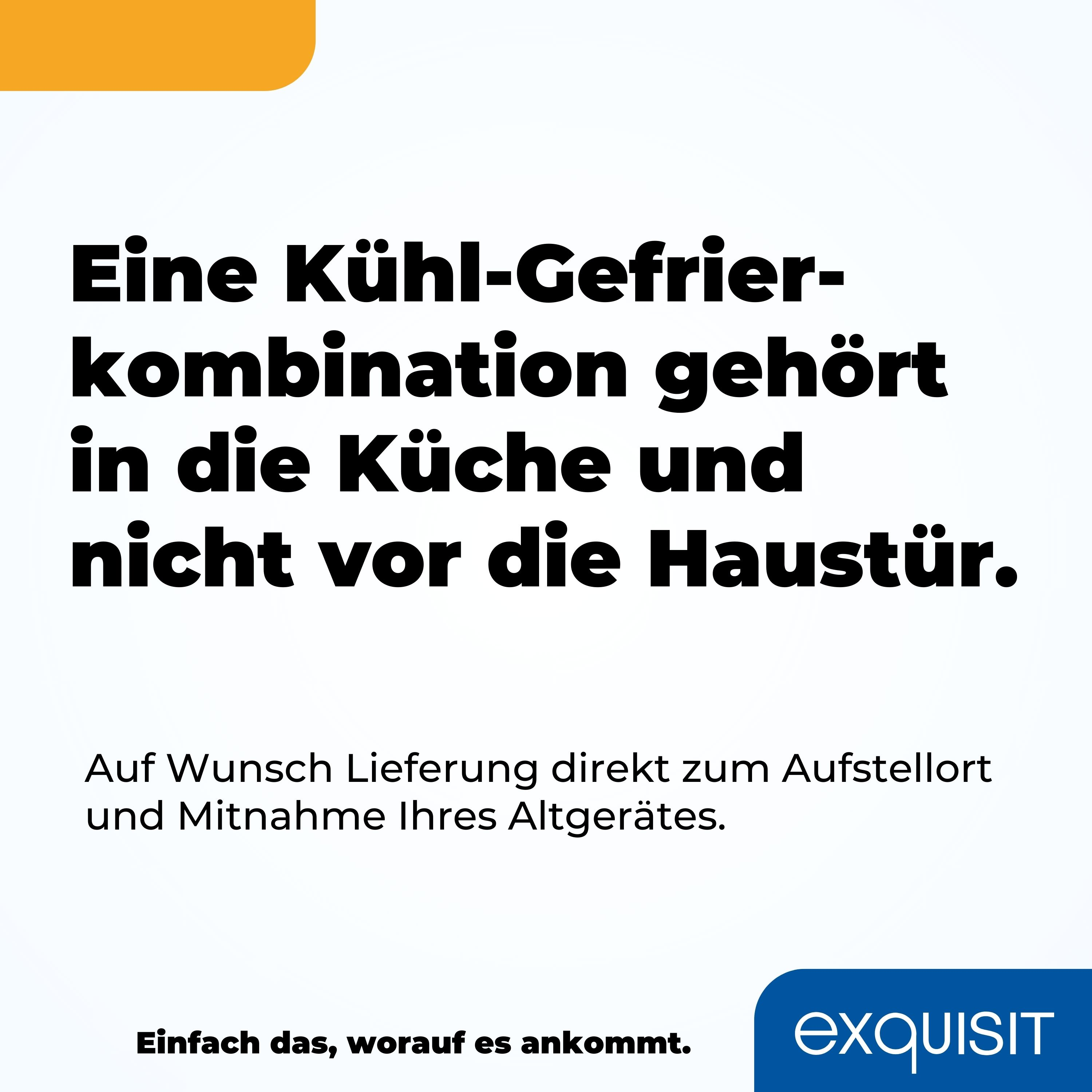 Text, der besagt, dass ein Kühl-Gefrierkombi in die Küche gehört, nicht vor die Haustür, mit Lieferoptionen.