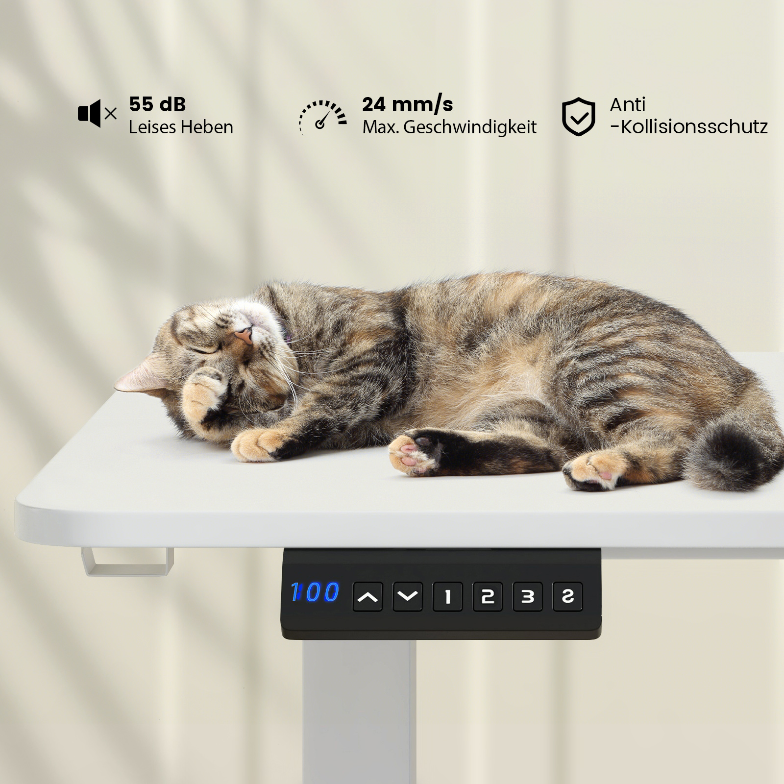 Katze schläft auf weißem Schreibtisch, Bedienfeld sichtbar, Text zu Geräusch und Geschwindigkeit.